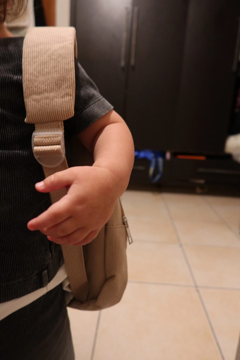 Name-Embroidered Toddler Backpack photo 7