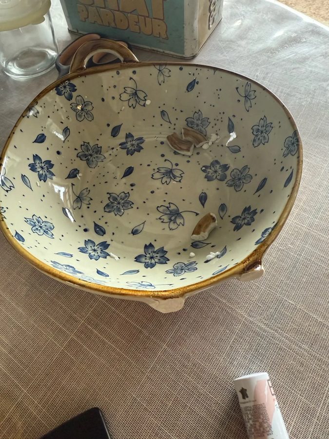 Buyer photo of Sakura Ceramic Soup Bowl