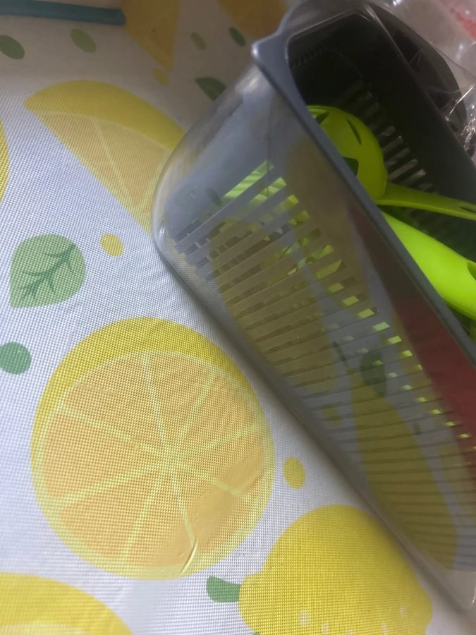 Buyer photo of Multi-Blade Vegetable Chopper